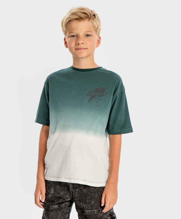 

Футболка градиент с коротким рукавом и принтом зеленая Button Blue, 134, 224BBBJC1209, Зеленый, 224BBBJC1209