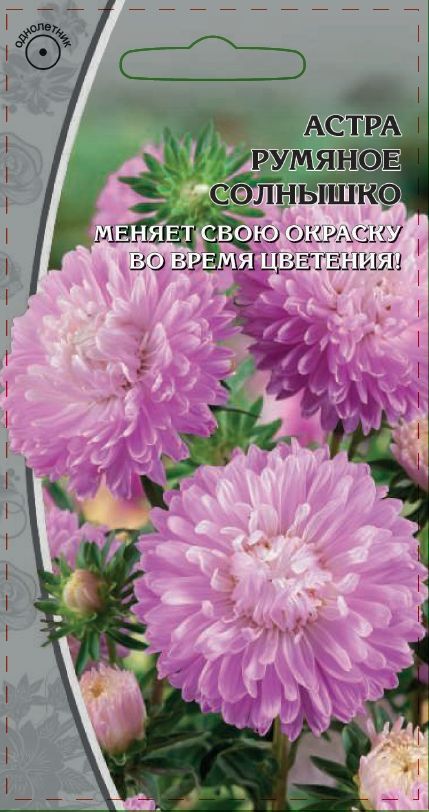 

Семена Астра Румянное солнышко 0,2 гр однолетний цветок