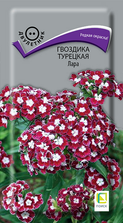 

Семена Гвоздика турецкая Лара 0,3 гр