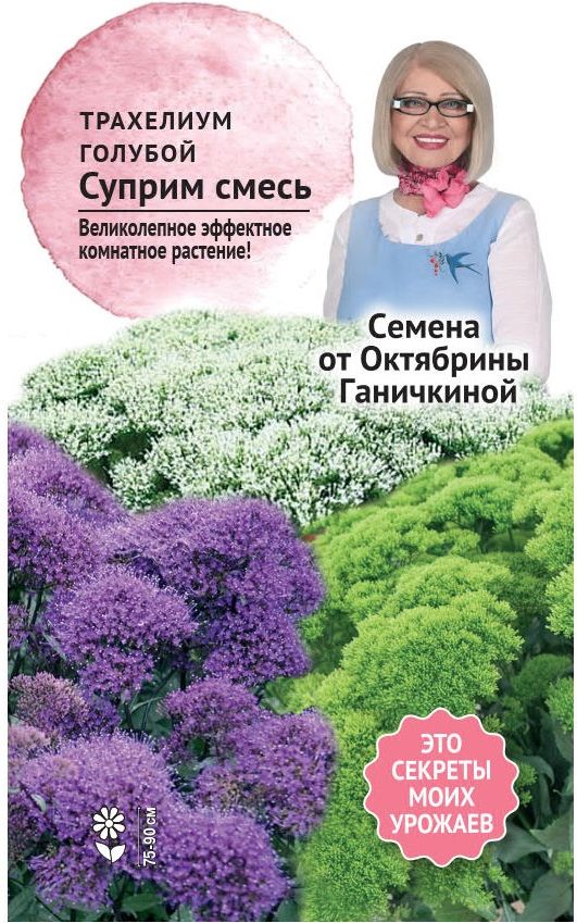 

Трахелиум голубой Суприм Смесь 5 шт