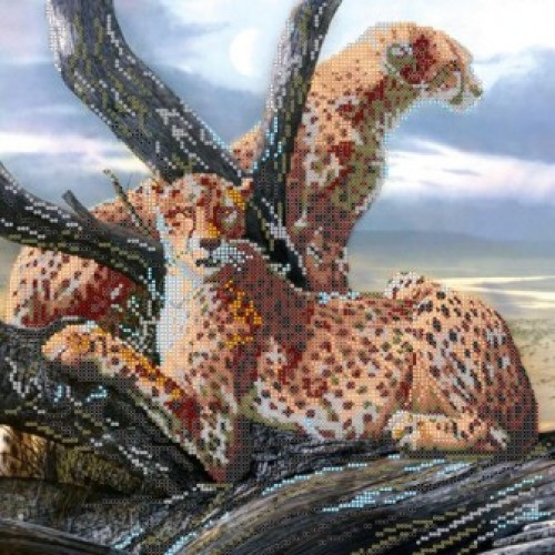 

Схемы для вышивания бисером Сафари АС-240, 30x30 см от Абрис Арт