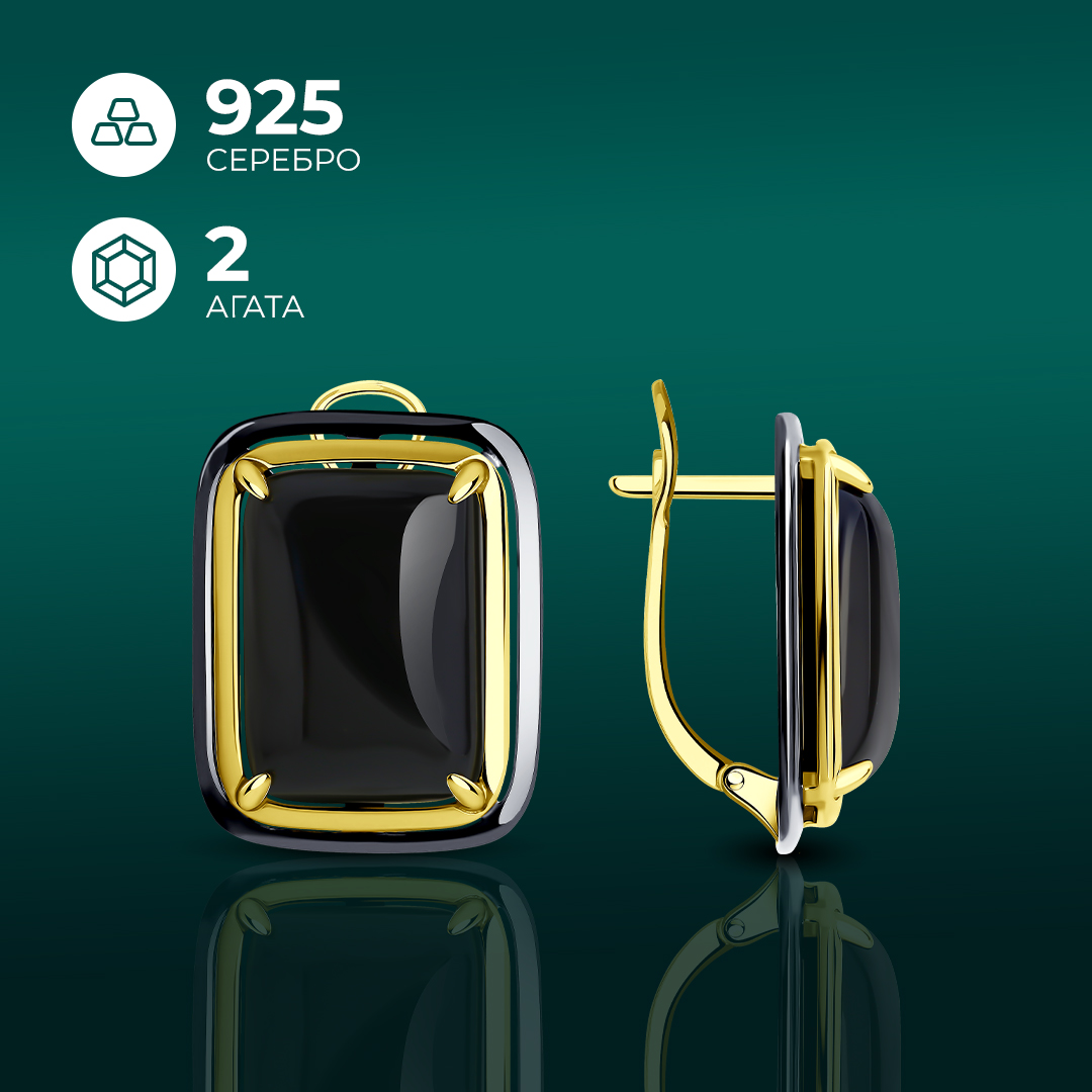 

Серьги из серебра Diamant 93-320-01704-1, агат, 93-320-01704-1