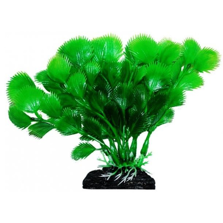 Растение аквариумное УЮТ Дианея зеленая