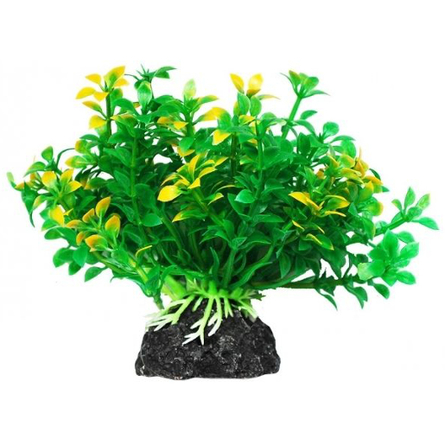 Растение аквариумное УЮТ Микрантемум зелено-желтый