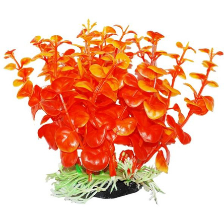 Растение аквариумное УЮТ Бакопа оранжевая