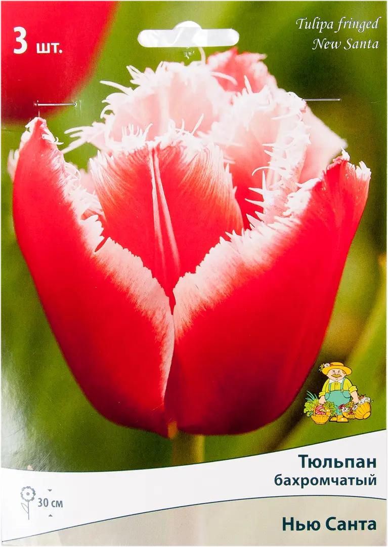 

Луковицы тюльпан Нью Санта SSS-82319586 3 шт.