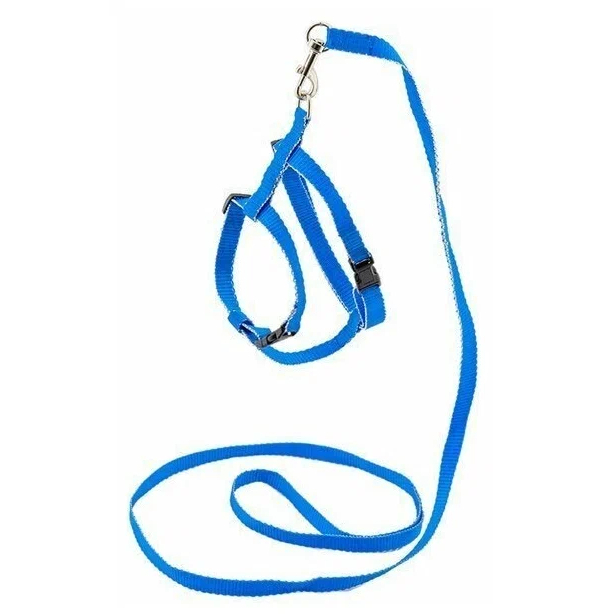 Комплект для собак Дарэлл синтетический поводок и шлейка, синий, 10 мм