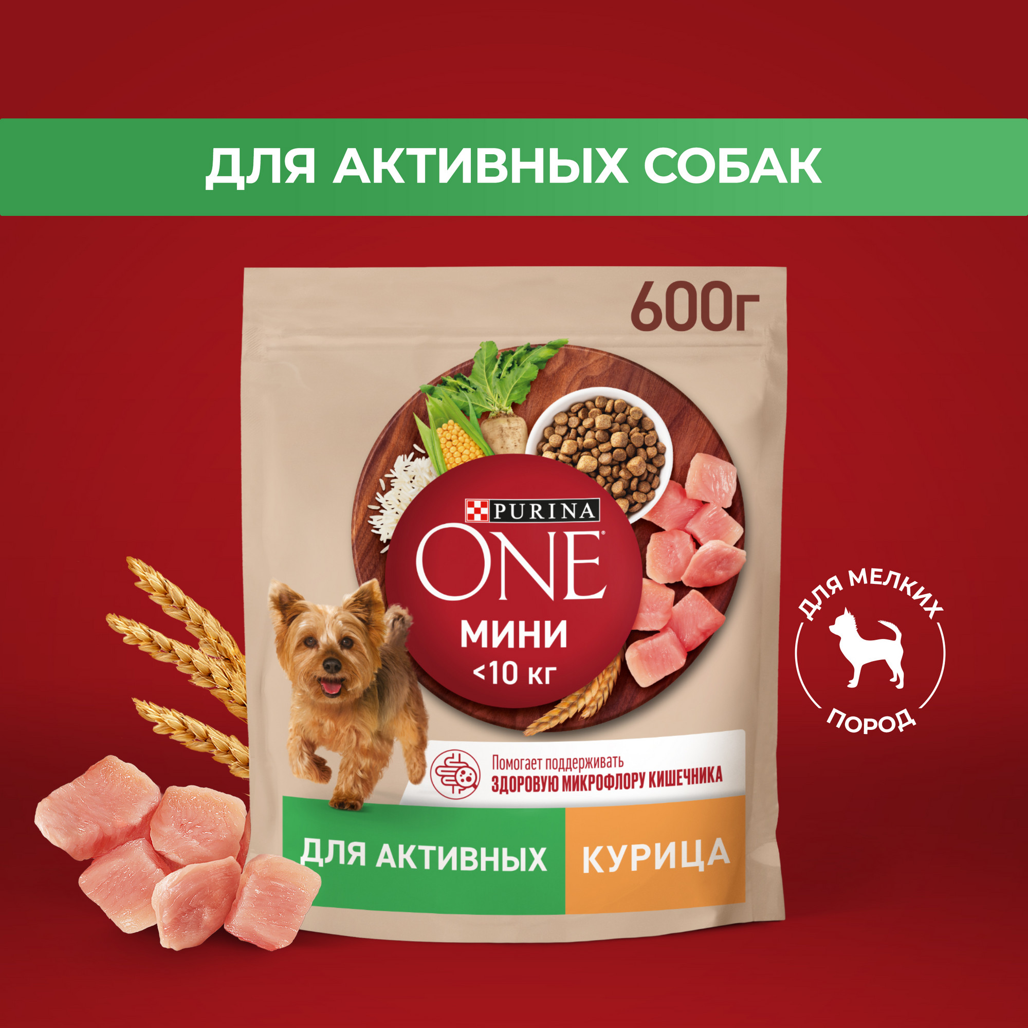 Сухой корм для собак Purina ONE Мини при активном образе жизни с курицей и рисом, 600 г