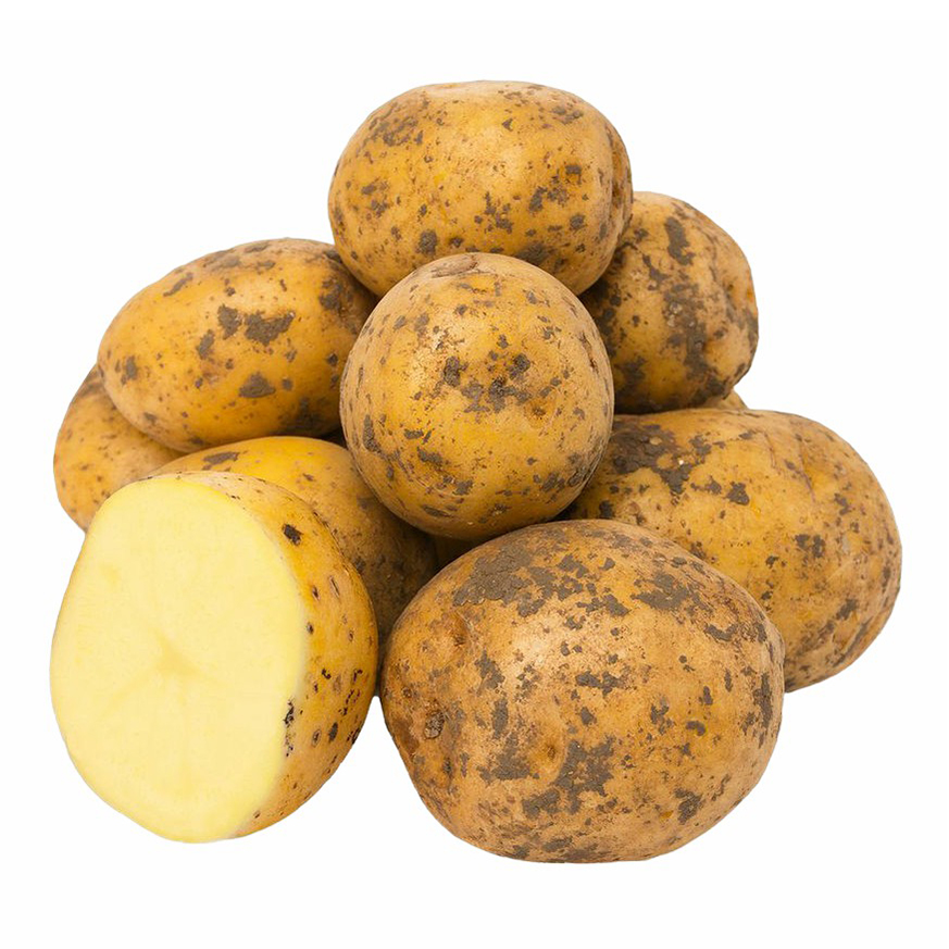 

Картофель белый 1,5 кг