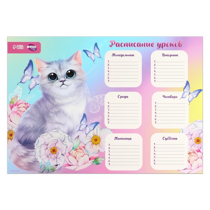 

Расписание уроков Воздушное чудо А3 (10 шт), Фиолетовый