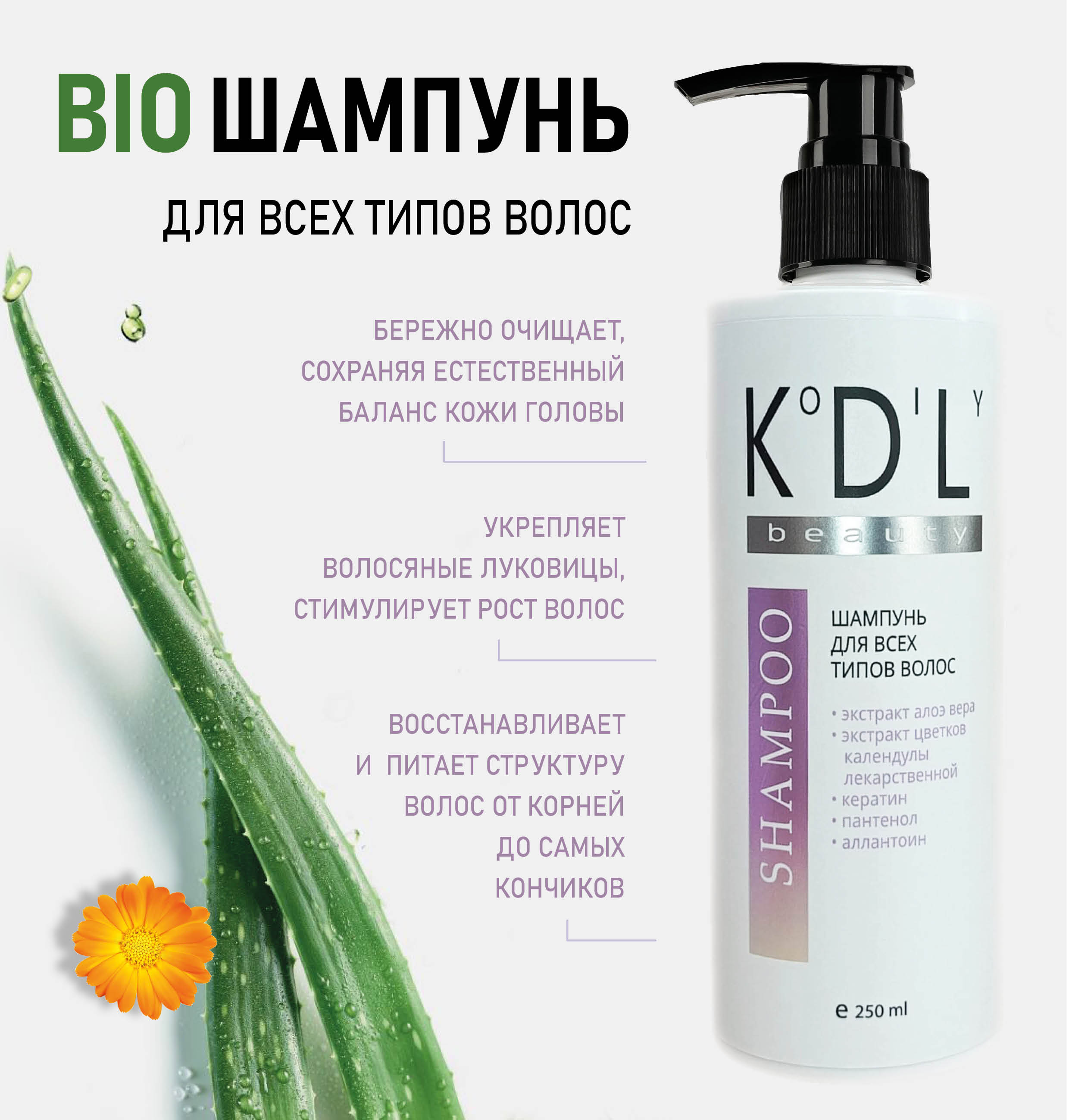 Шампунь для всех типов волос KoDiLy beauty 250 мл