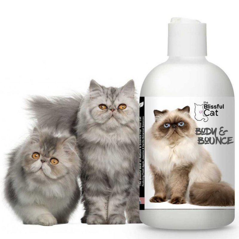 Шампунь для кошек The Blissful Cat Body Bounce Объем и упругость, 118 мл