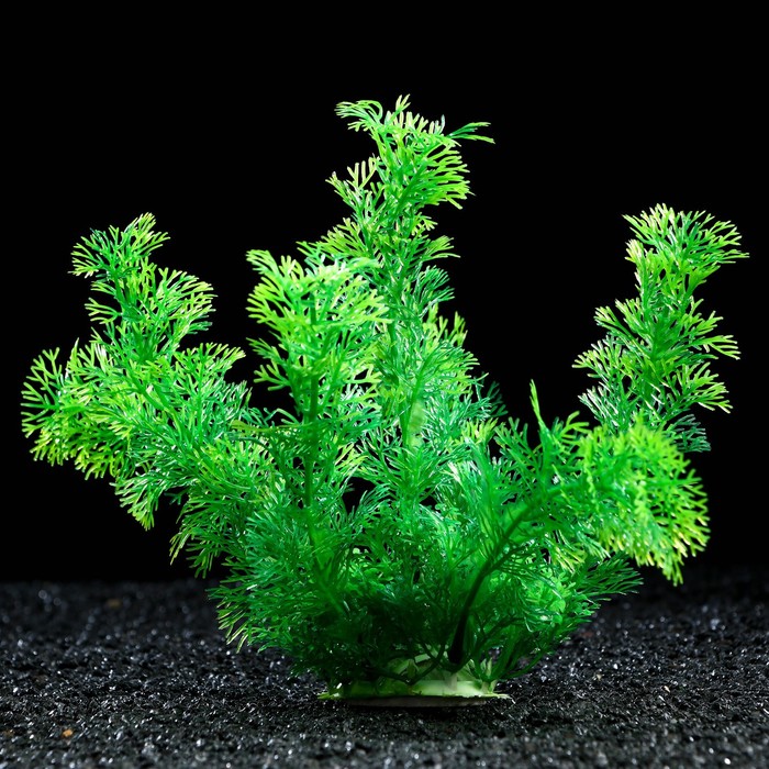 

Растение искусственное аквариумное, 20 см, зелёное