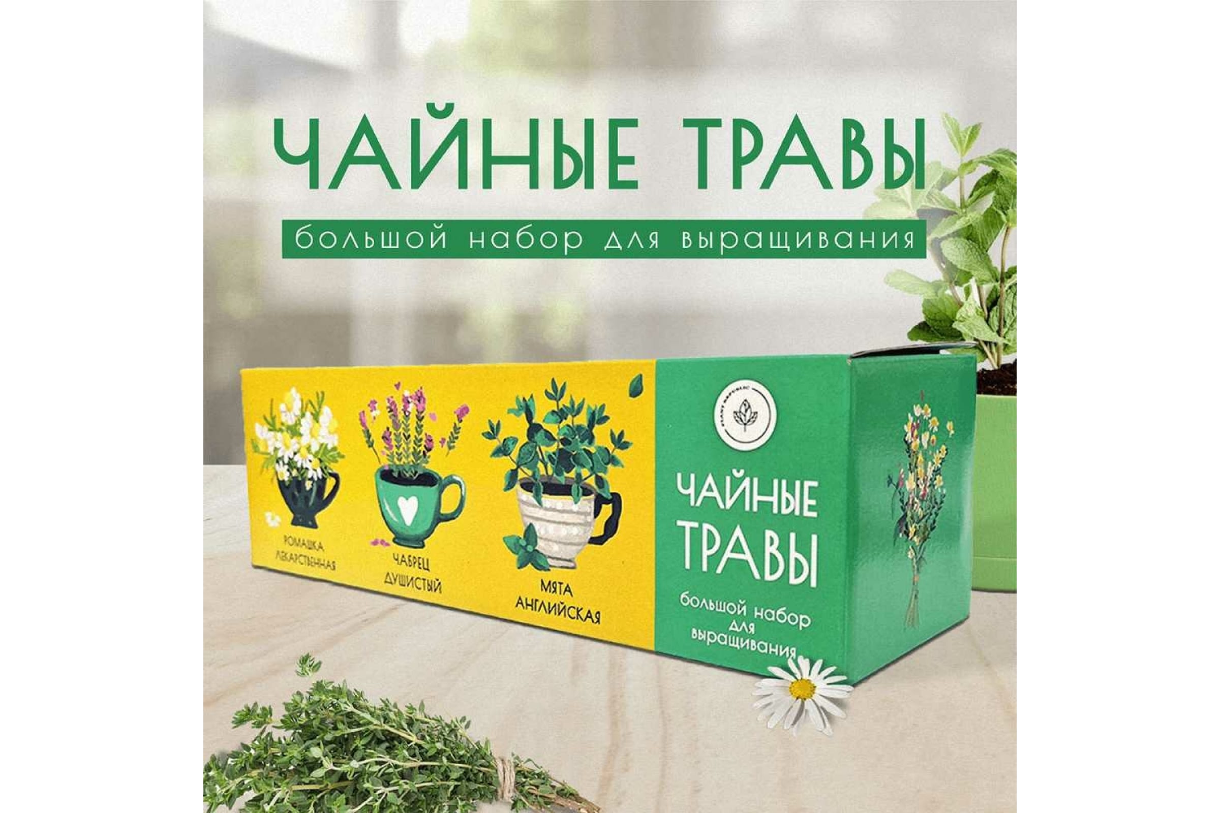 

Plant Republic Набор для выращивания растений Чайные травы pr-021, Коричневый