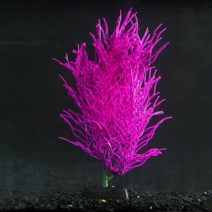 

Растение силиконовое аквариумное, светящееся в темноте, 9 х 20 см, фиолетовое