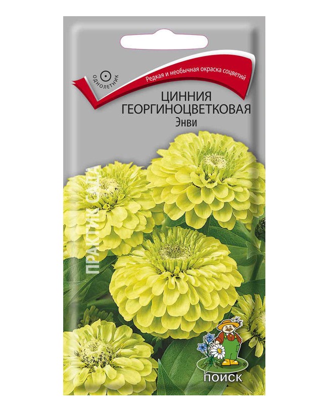 

Семена цинния Поиск Энви 580906 1 уп.