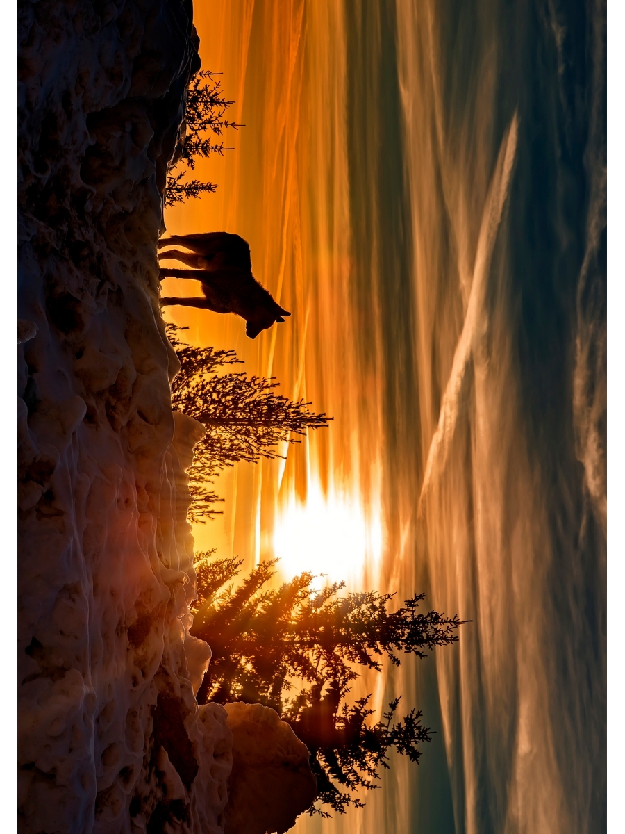 

Постер DRABS А3 Охота в заснеженных горах