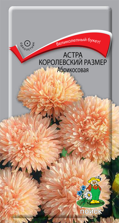 

Семена астра Поиск Королевский размер абрикосовая 140889 1 уп.