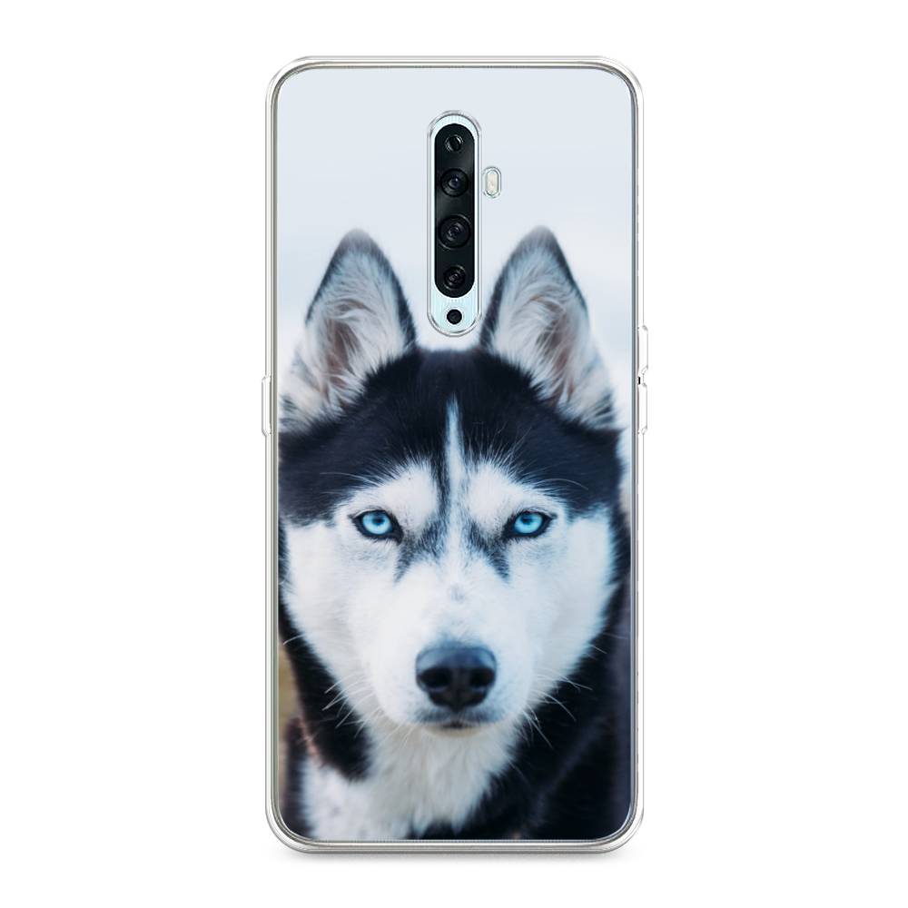 

Чехол на Oppo Reno 2Z "Хаски 2", Синий;белый, 251850-1