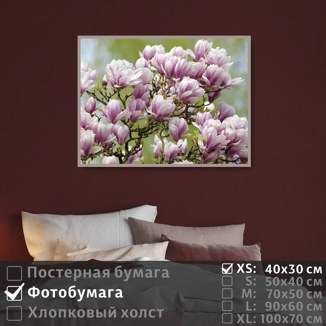 

Постер на фотобумаге ПолиЦентр Ветка магнолии 40х30 см, ВеткаМагнолии