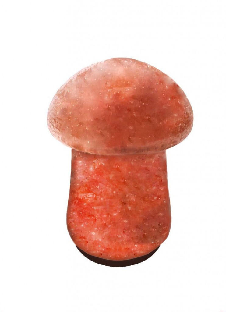 фото Солевая лампа гриб 1 himalayan salt lamp umbrellah shape 1 ripoma 116140