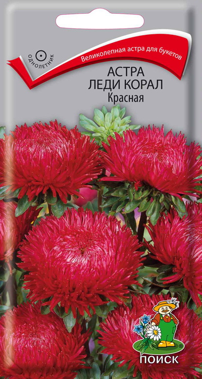 Семена астра Поиск Леди корал красная 140995 1 уп.
