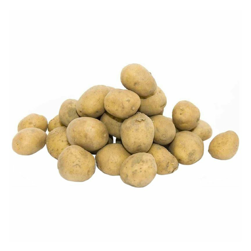 

Картофель в сетке +-1 кг
