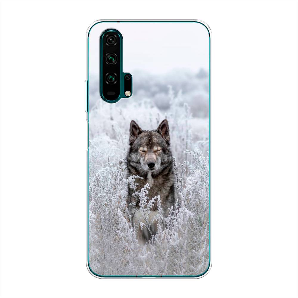 

Чехол Awog на Honor 20 Pro "Волк в поле", Разноцветный, 69350-1
