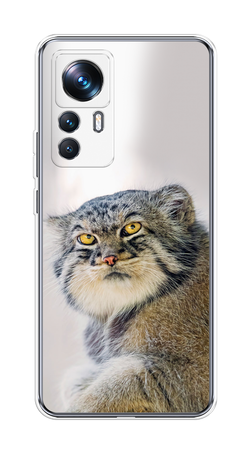 

Чехол на Xiaomi 12T Pro "Кот манул 1", Серый;белый;желтый, 315750-1