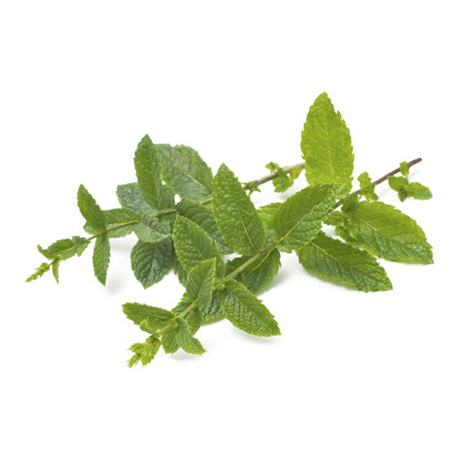 

Мята, в лотке 30 г