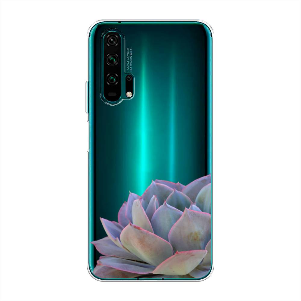 

Чехол Awog на Honor 20 Pro "Молодило уголок", Разноцветный, 69350-8