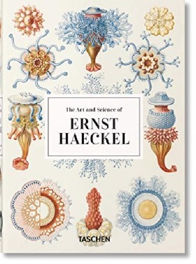 

Ernst Haeckel - 40th Anniversary Edition / Willmann Rainer, Voss Julia