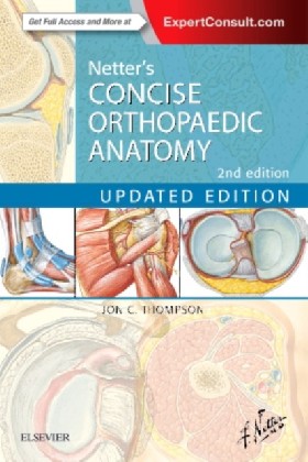 

Netter's Concise Orthopaedic Anatomy, Updated Edition, 2e / Thompson, Jon C.