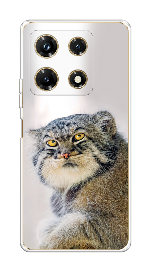 

Чехол Homey на Infinix Note 30 Pro "Кот манул 1", Серый;белый;желтый, 3104550-1