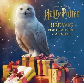 Harry potter: hedwig pop-up advent calendar / Reinhart, Matthew