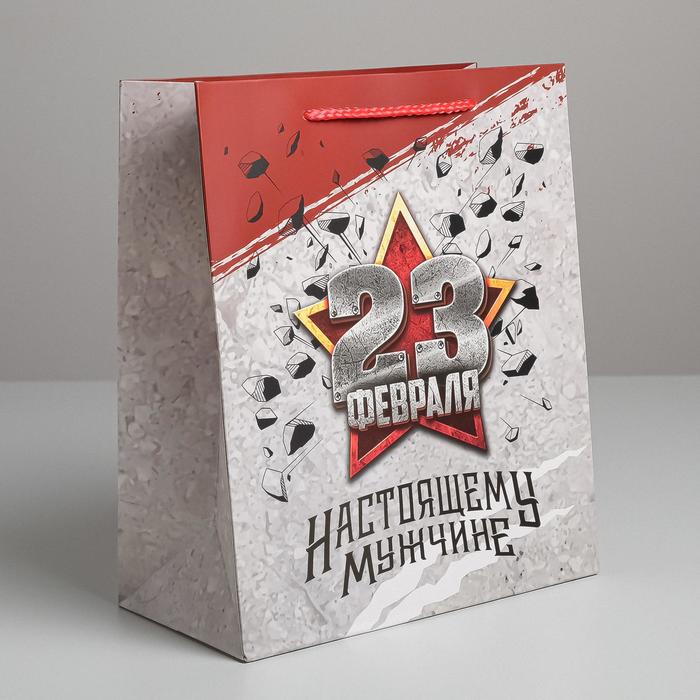 

Пакет ламинированный вертикальный "Настоящему Мужчине", ML 23 x 27 x 11,5 см, Разноцветный