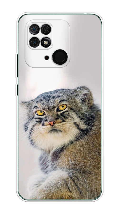 

Чехол Homey на Xiaomi Redmi 10C "Кот манул 1", Серый;белый;желтый, 313450-1