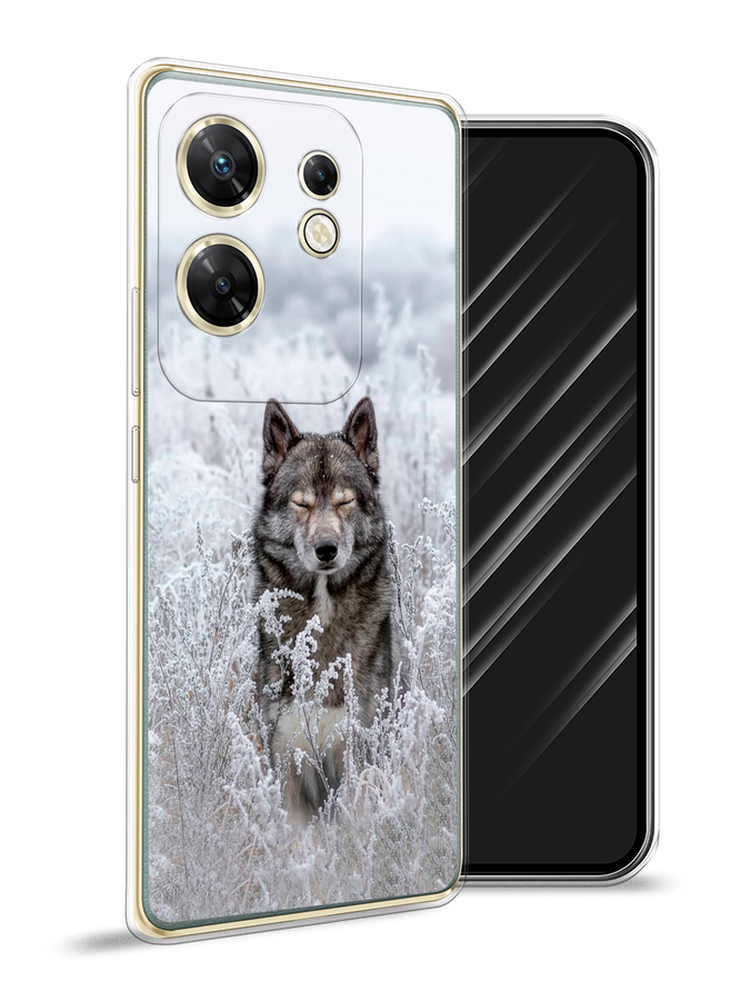 

Чехол Awog на Infinix Zero 30 4G "Волк в поле", Белый;черный, 3105050-1
