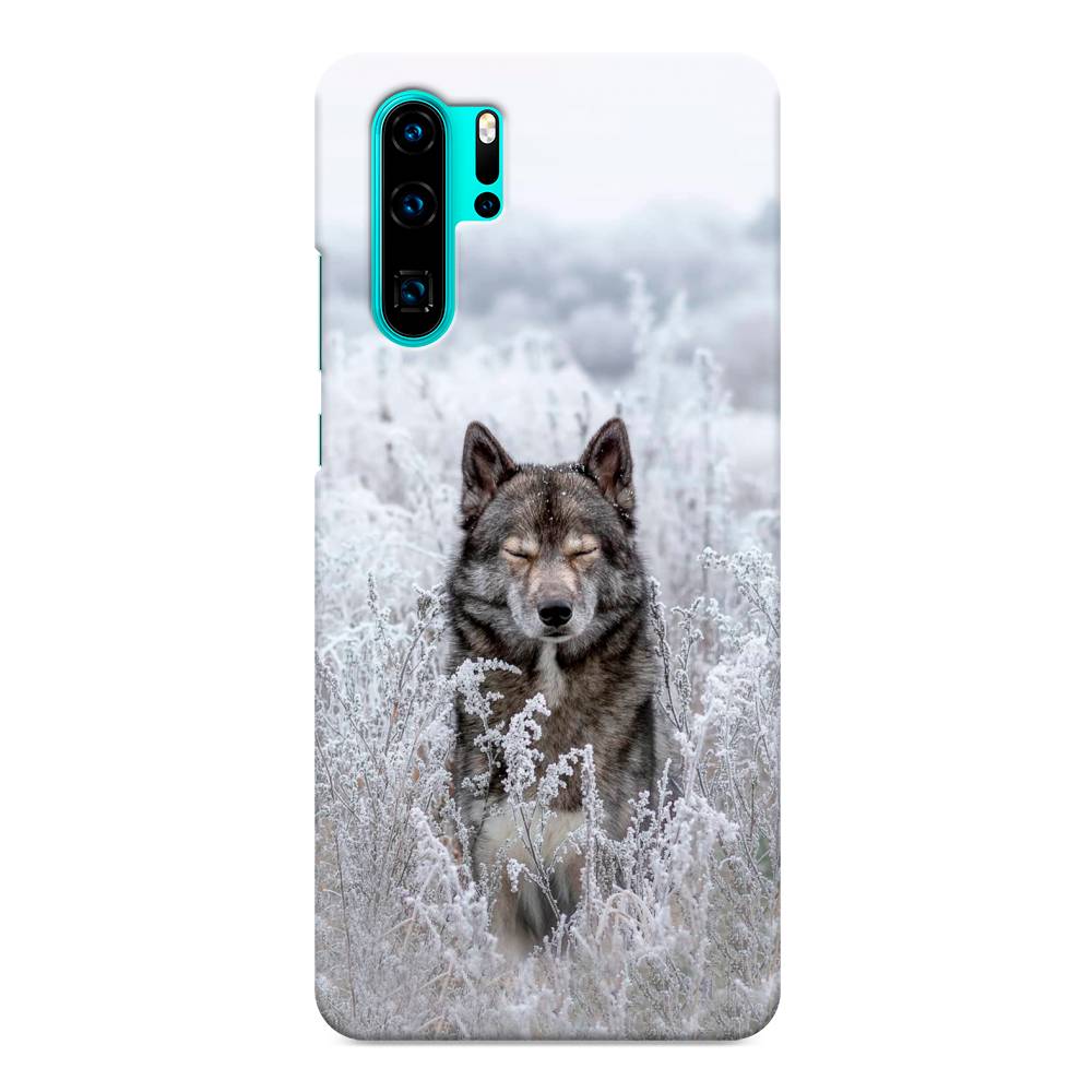 

Чехол Awog "Волк в поле" для Huawei P30 Pro, 67620-1