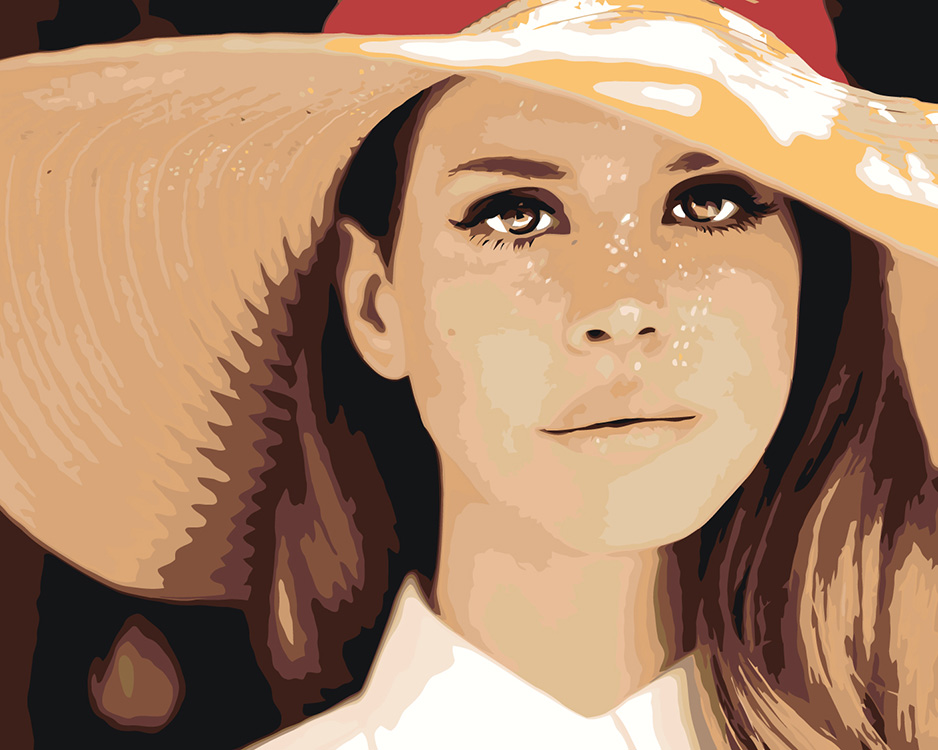

Картина по номерам Цветное Lana Del Rey Лана Дель Рей В шляпе 2