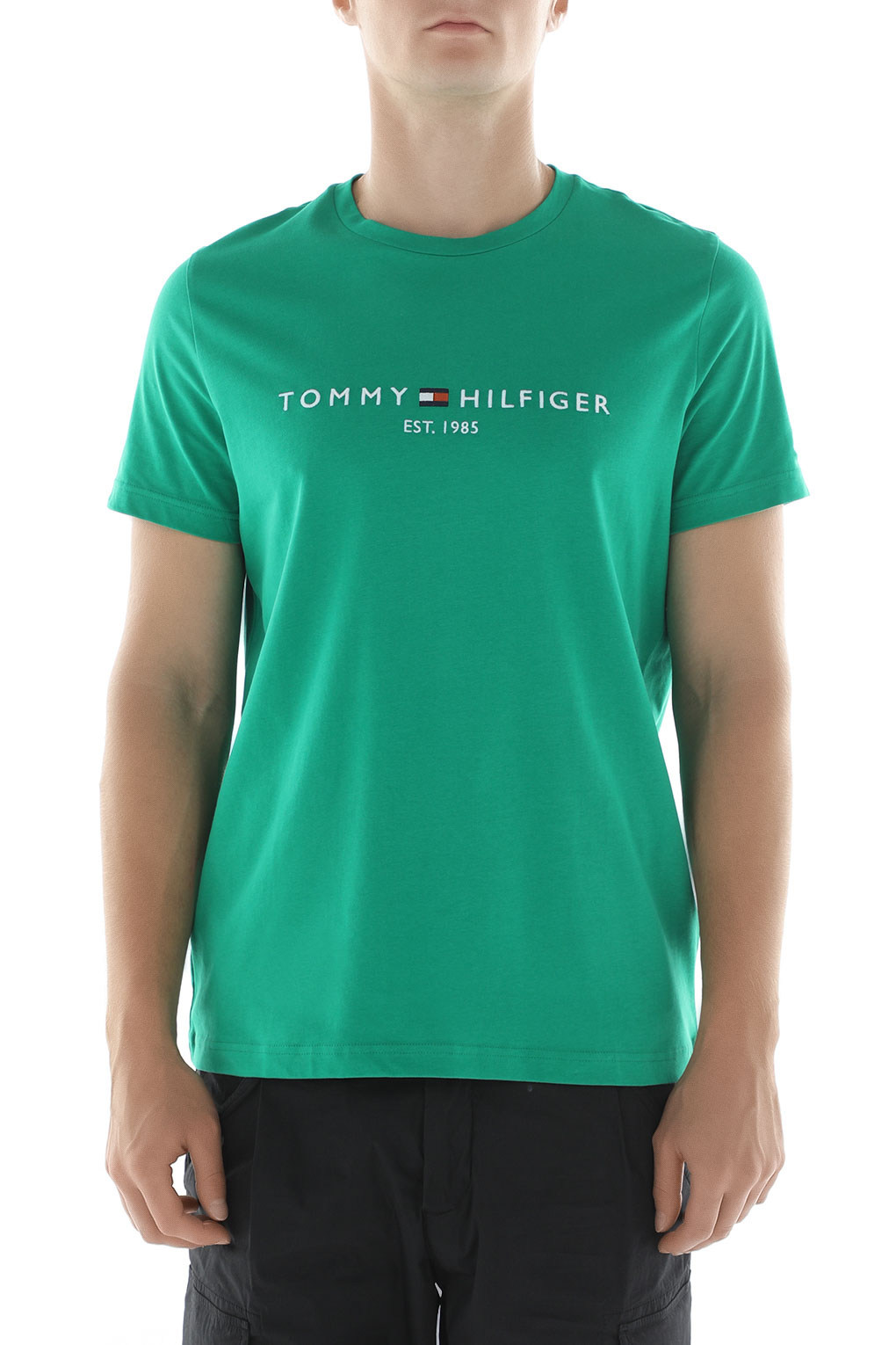 

Футболка мужская TOMMY HILFIGER MW0MW11797 зеленая 2XL, Зеленый, MW0MW11797