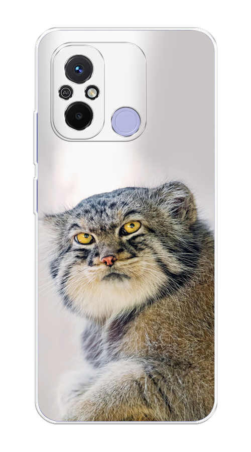 

Чехол Homey на Redmi 12C "Кот манул 1", Серый;белый;желтый, 317550-1