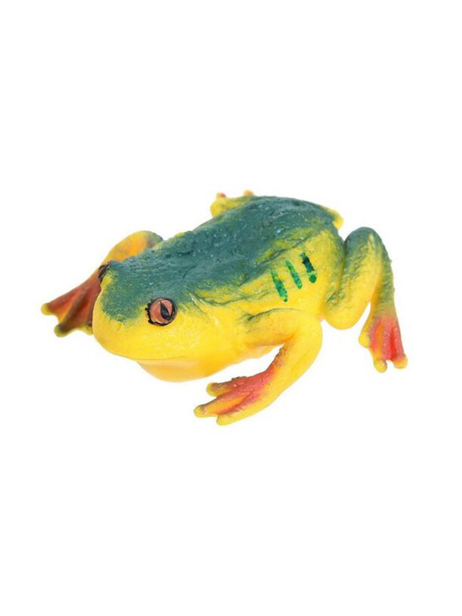 Фигурка Abtoys Юный натуралист: Лягушки зелено-желтая с красными лапками PT-01737