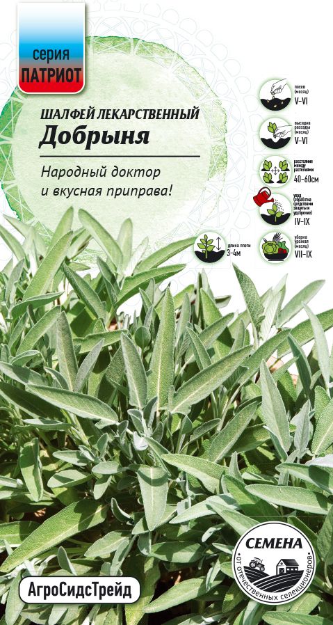

Шалфей лекарственный Добрыня 0,3 г ПАТРИОТ