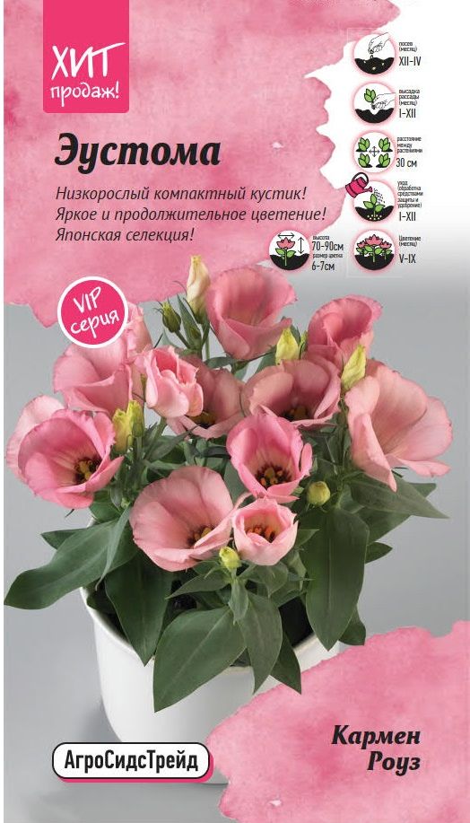 

Эустома Кармен Роуз 5 шт. АСТ