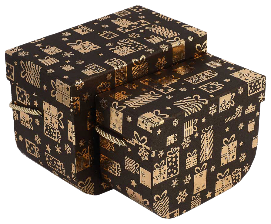 

Набор подарочных коробок 2 в 1 (15x11,5x7,9 см, 17,7x13,4x10,4 см) с золотым фольг.слоем,