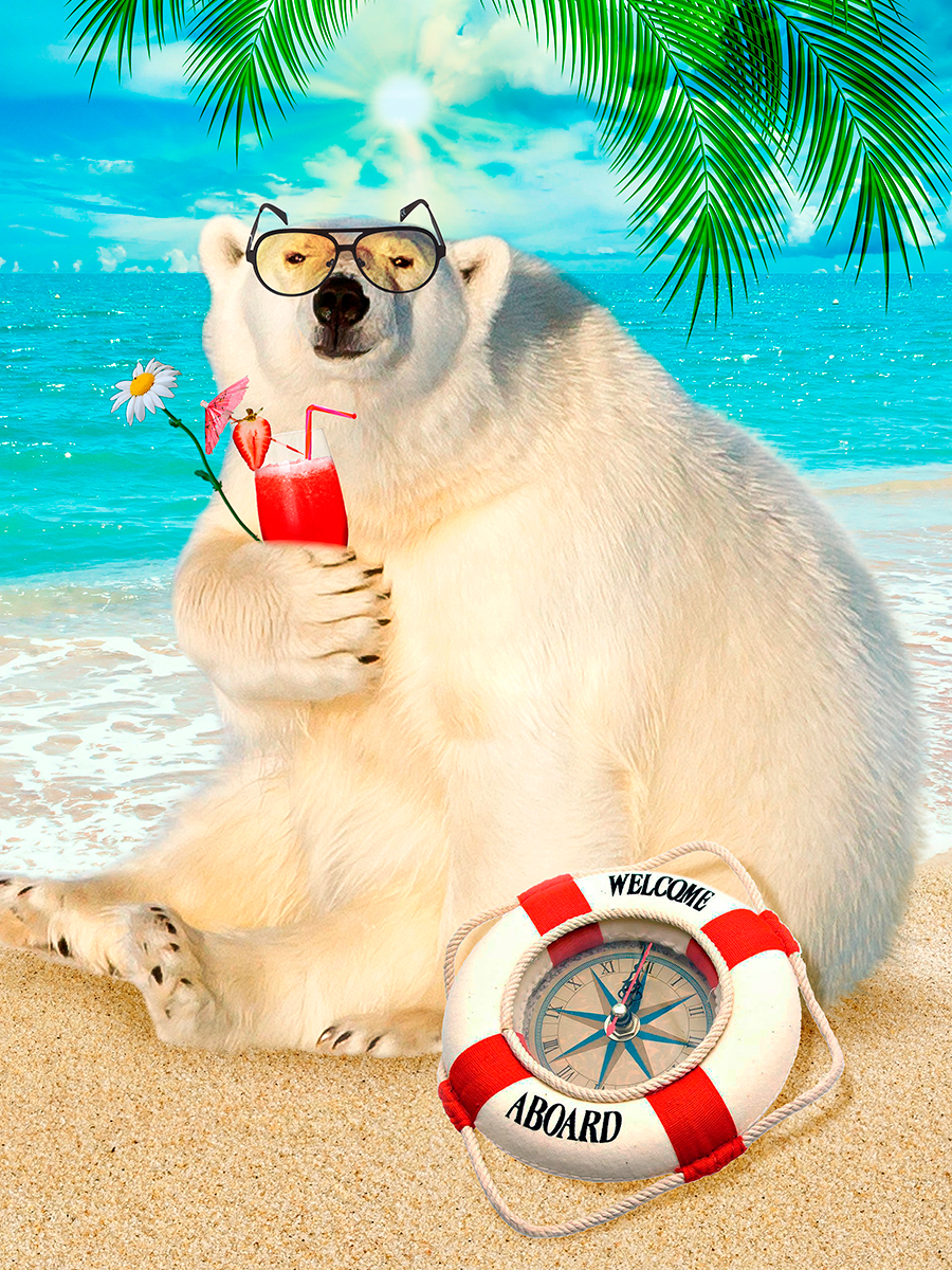 

Постер DRABS А3 Медведь на пляже