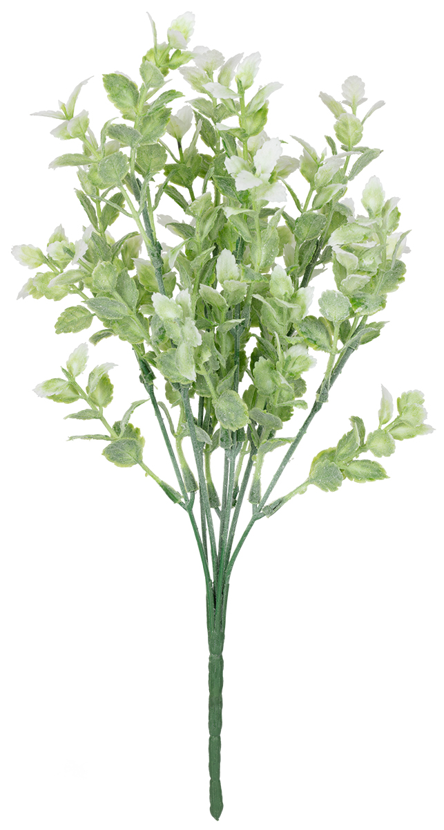 

Blumentag 5х1 шт, 30 см, 02 зеленый, 5х1 шт, 30 см, 02 зеленый