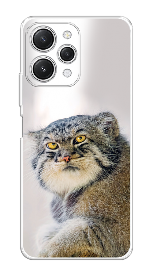 

Чехол Homey на Xiaomi Redmi 12 "Кот манул 1", Серый;белый;желтый, 319250-1