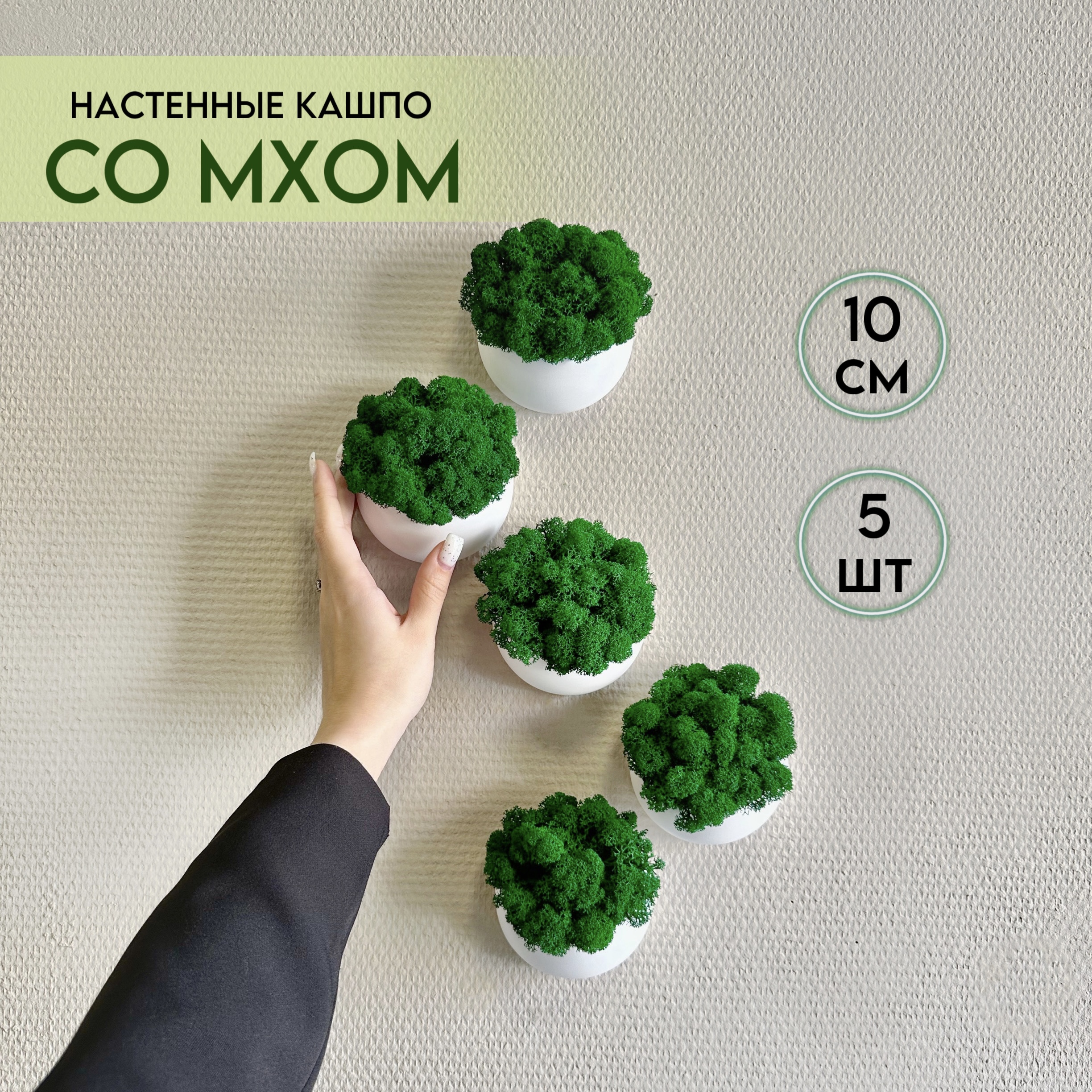 Набор настенных белых кашпо со стабилизированным мхом Molecula Decor 5 шт 10 см